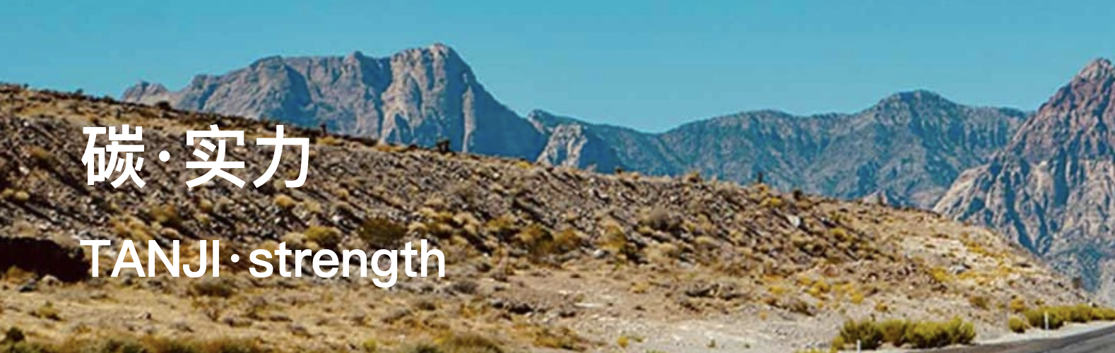 上海碳际实业集团有限公司